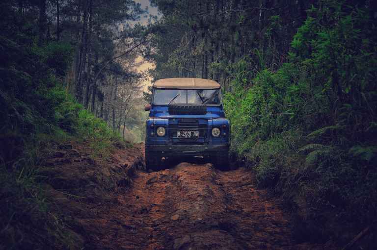 blue car on dirt road between green leaf trees